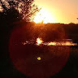 Meet your Posher, Trisha